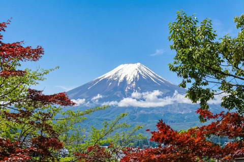 Mt. Fuji & Hakone Tour: Arakurayama, OshinoHakkai, Owakudani Tokyo Station | 7:30 AM Departure with English Guide