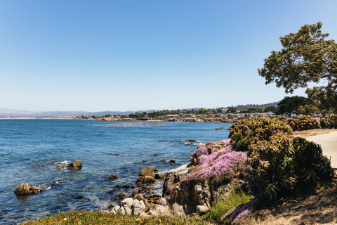 Vanuit San Fransisco: dagtocht Monterey & Carmel