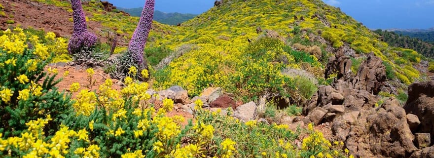 La Palma : Randonnée guidée à El Roque de los Muchachos