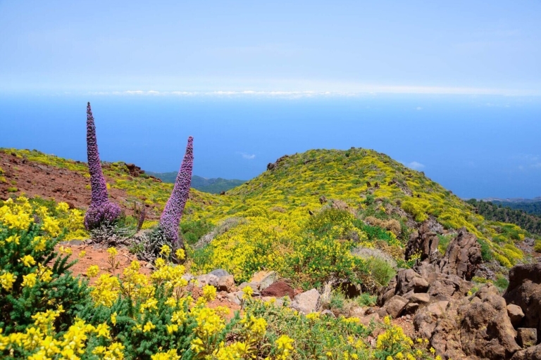 La Palma: Guided Trekking Tour to El Roque de los Muchachos Tour with Pick up and drop off in Fuentecaliente