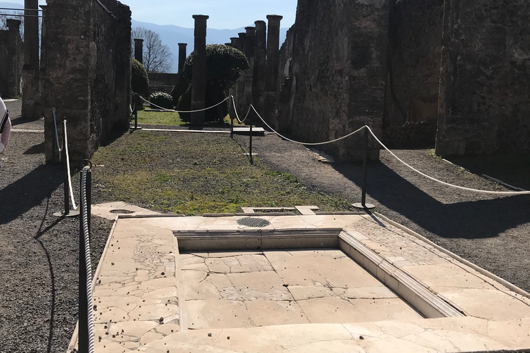 Vanuit Rome: privétour Pompeii en Amalfikust per Van