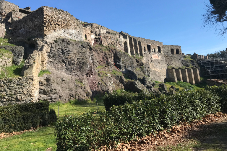 From Rome: Pompeii and Amalfi Coast Private Tour by Van