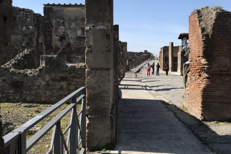 Vanuit Rome: privétour Pompeii en Amalfikust per Van