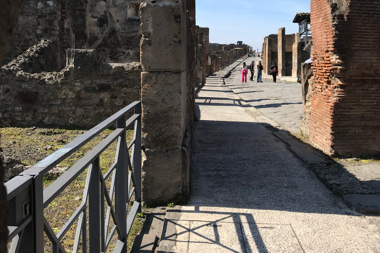 Vanuit Rome: privétour Pompeii en Amalfikust per Van