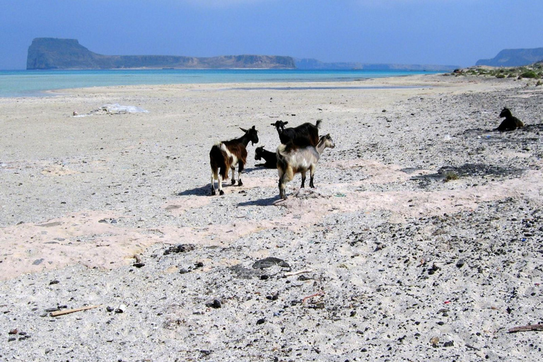 Rethymno: Gramvousa &amp; Balos Lagoon Day Trip with Boat Ticket