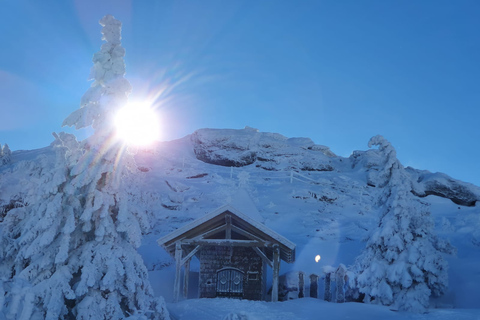 Mount Arber: guidad tur med snöskor i den bayerska skogen