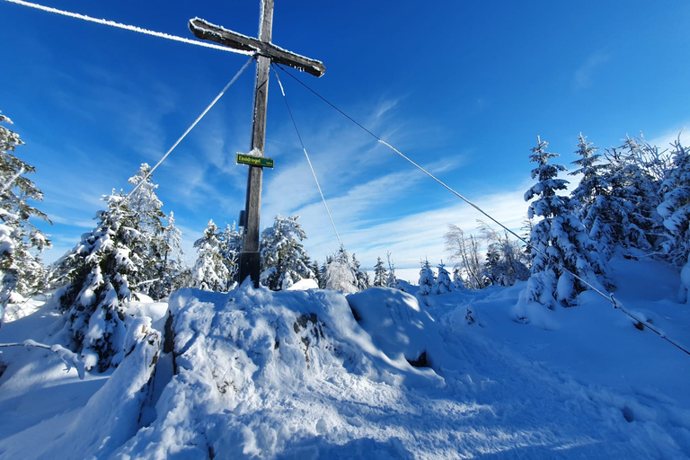 Mount Arber: guidad tur med snöskor i den bayerska skogen