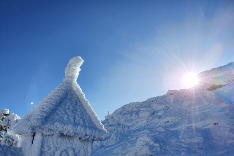 Mount Arber: guidad tur med snöskor i den bayerska skogen