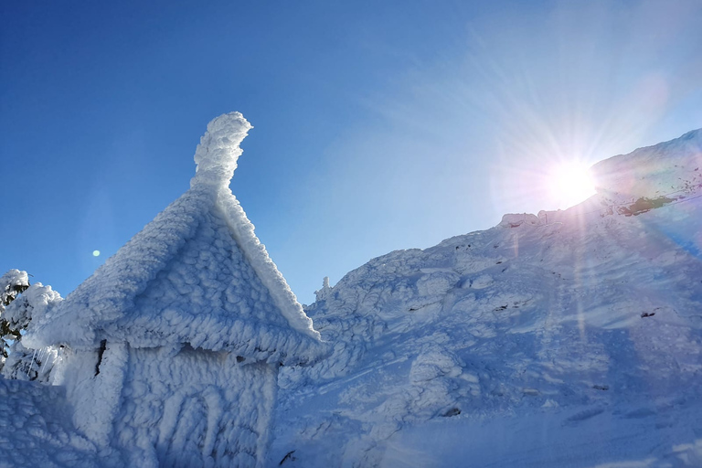 Mount Arber: guidad tur med snöskor i den bayerska skogen