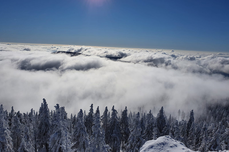 Mount Arber: guidad tur med snöskor i den bayerska skogen