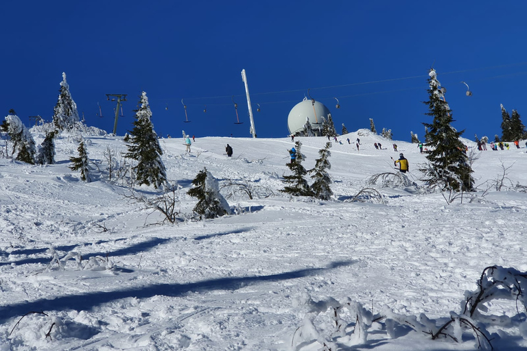 Mount Arber: guidad tur med snöskor i den bayerska skogen