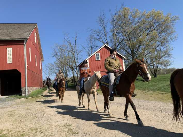 horse tours of gettysburg