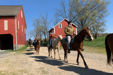 Gettysburg: Licensed Guided Battlefield Horseback Tour