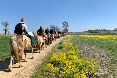 Gettysburg: Licensed Guided Battlefield Horseback Tour