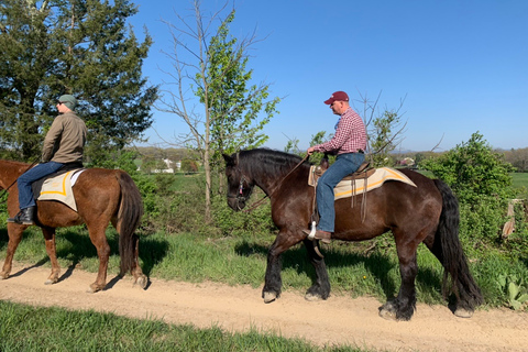 Gettysburg: Licensed Guided Battlefield Horseback Tour