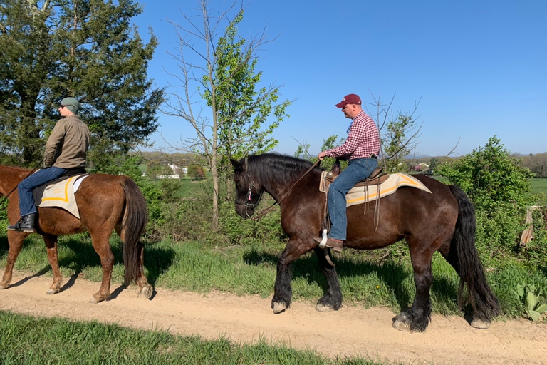 Gettysburg: Licensed Guided Battlefield Horseback Tour