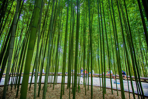 From Busan: 5 Highlights Pohang & Ulsan One Day City Tour Group tour: From Haeundae Station Ex.5