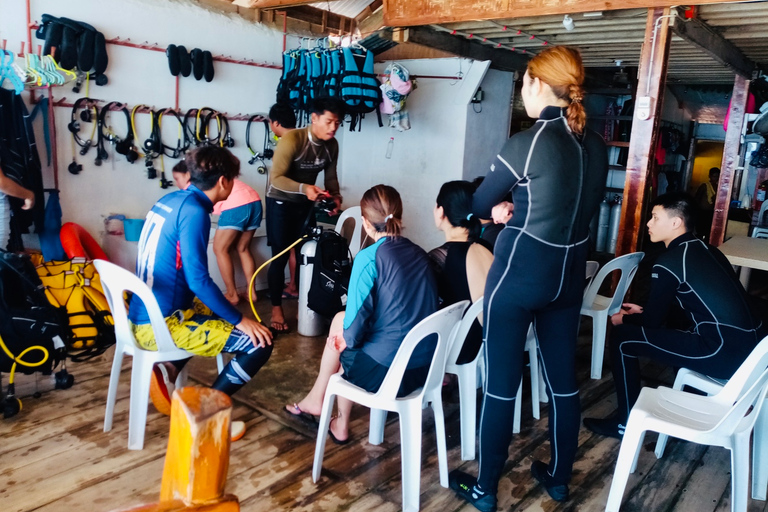 From Cebu City: Scuba Diving Whale Sharks in Oslob