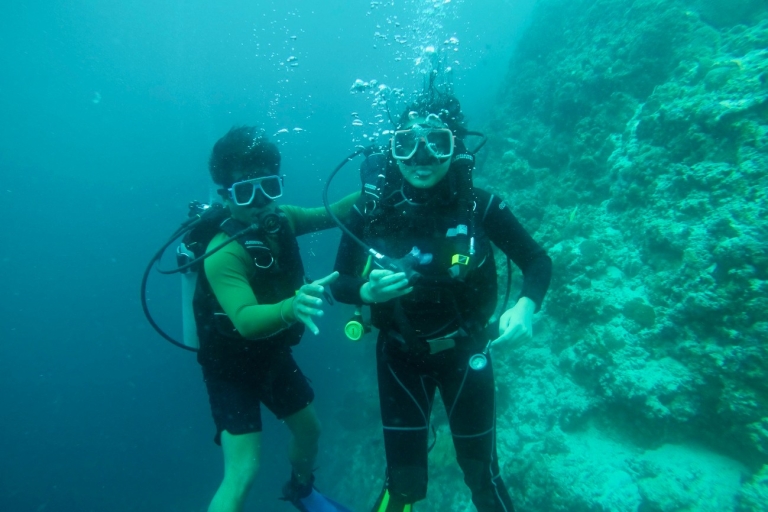 From Cebu City: Scuba Diving Whale Sharks in Oslob