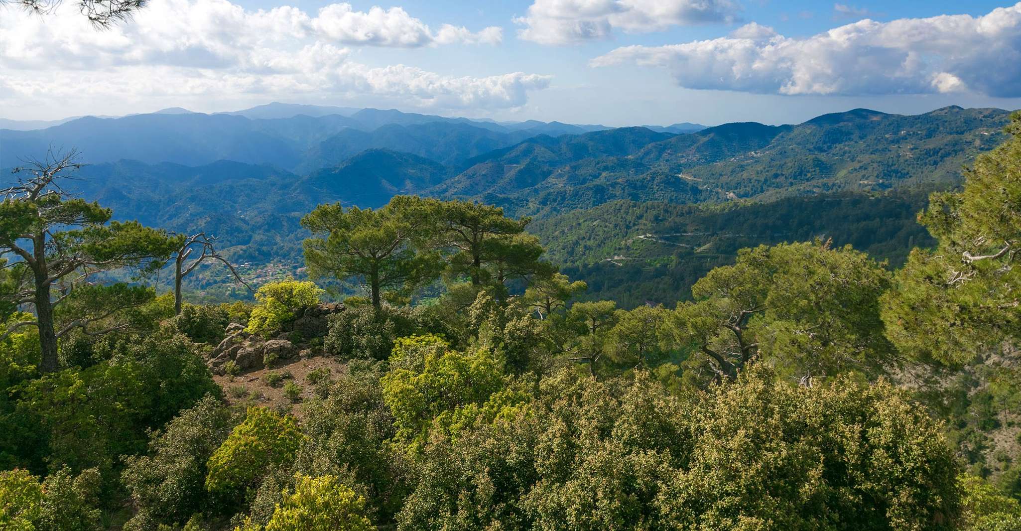 来自Paphos，Chrysoroyiatissa，Kykkos和Omodos Day Trip - Housity