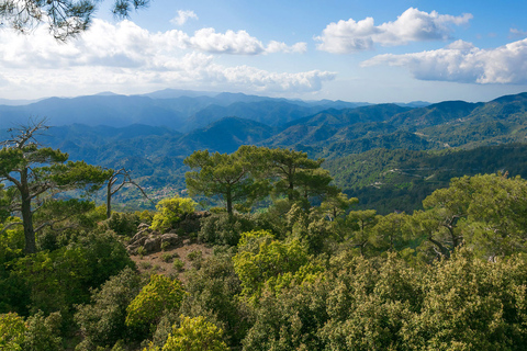 Troodos-Bosque de Pafos/Kykkos/Omodos desde PafosOpción Estándar