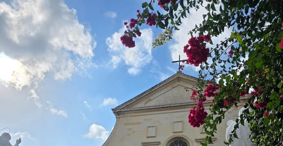 Malta: Highlights Tour with Lunch, Wine, and Transport