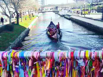 Aveiro: Boat Cruise and City Walking Tour with Sweet Tasting