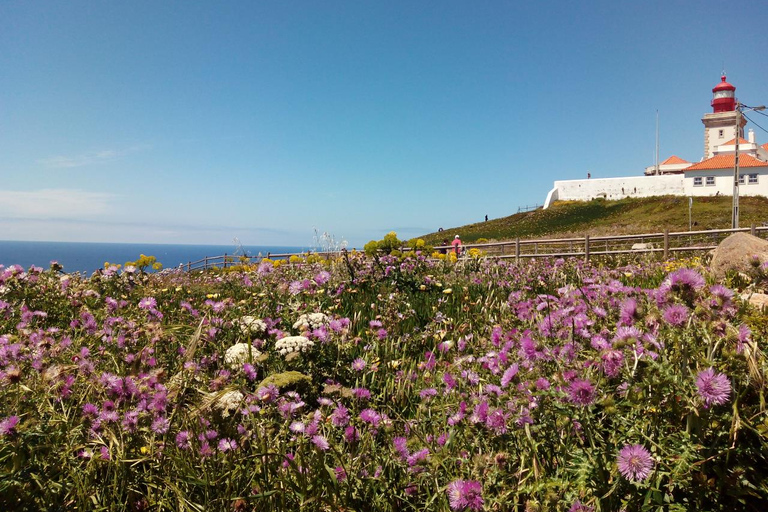 Ab Lissabon: Kleingruppentour nach Sintra und Cascais