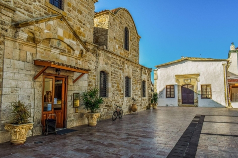 Visite à pied privée de Larnaca