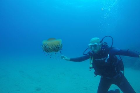 Lloret de Mar : plongée sous-marine sans licence requise
