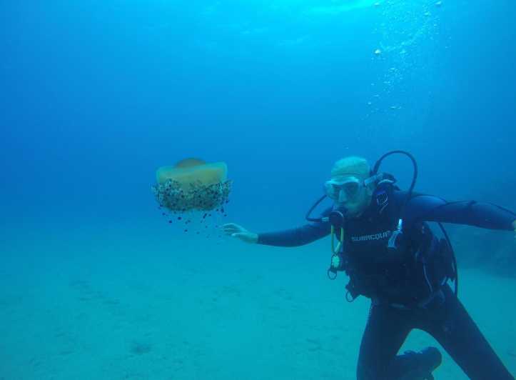 濱海略雷特：無需執照的水肺潛水體驗