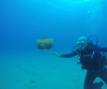 Lloret de Mar: Scuba Diving Experience no License Required