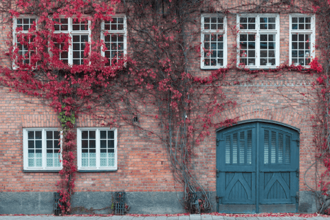 Stockholm: Djurgården och Östermalm Island Tour