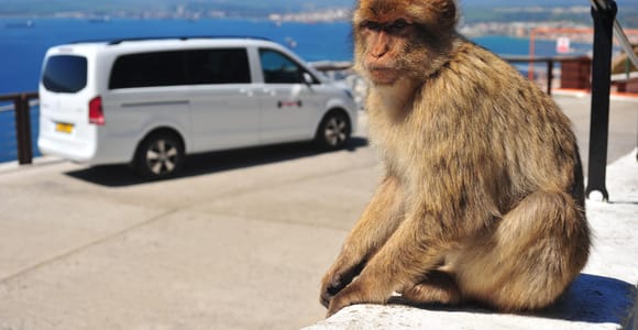 Gibraltar: Private Highlight-Tour mit Eintrittskarten