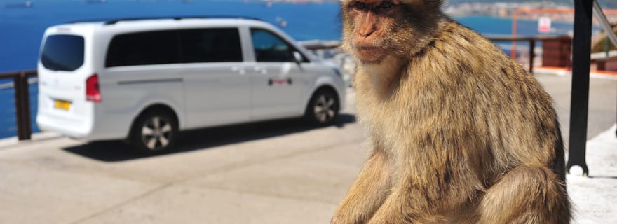 Gibraltar : Visite privée avec billets d'entrée