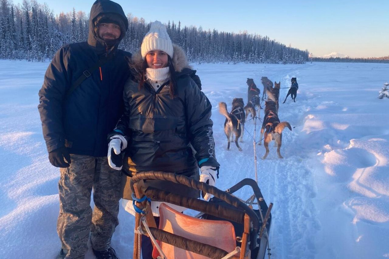 Willow: Traditional Alaskan Dog Sledding Ride
