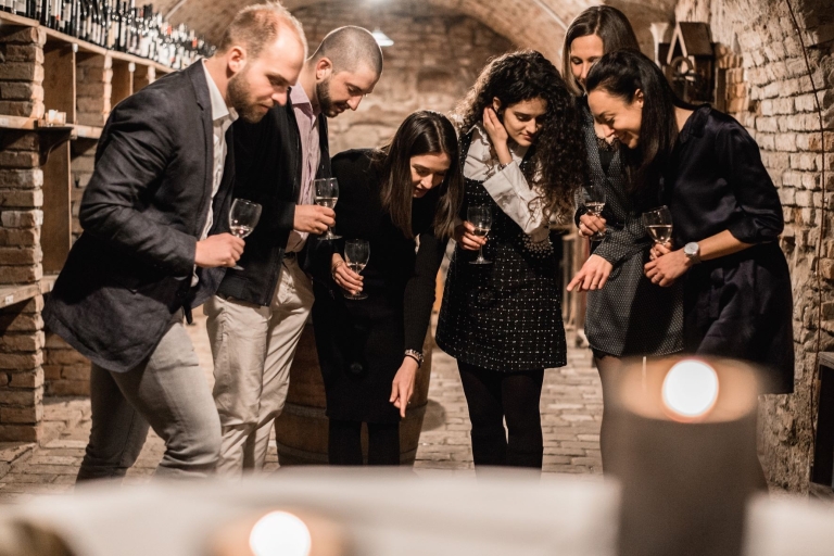 Vienne: Expérience de dégustation de caves à vin
