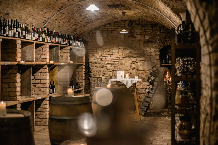 Viena: experiencia de degustación de bodegas ocultas