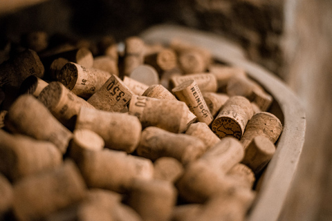 Vienne: Expérience de dégustation de caves à vin