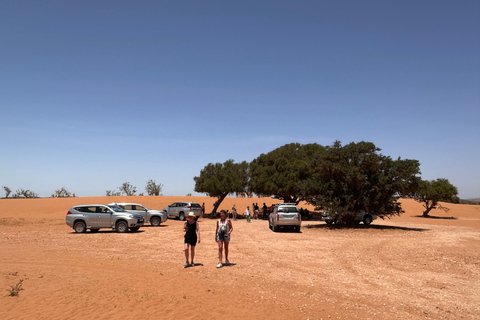 Agadir: Mini Sahara 4x4 Jeep Safari with Berber Lunch PICK UP FROM AGADIR