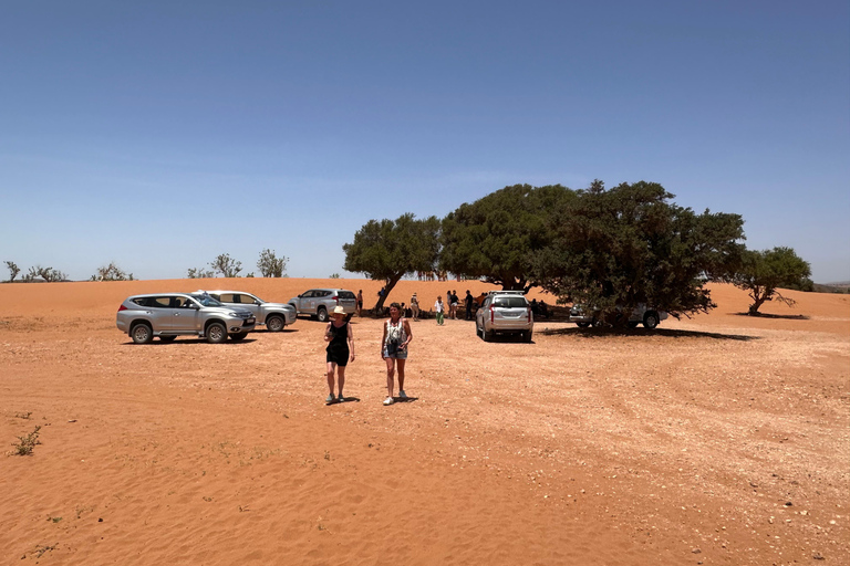Agadir: Mini Sahara 4x4 Jeep Safari with Berber Lunch PICK UP FROM AGADIR