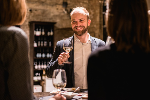 Vienne : dégustation de vins locaux dans une cave à vin romaine historique