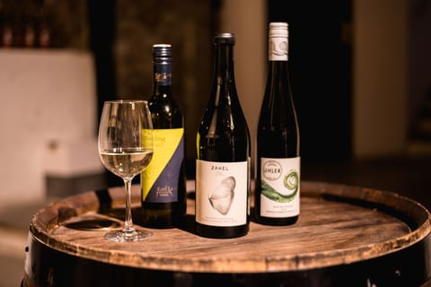 Vienna: Guided Wine Tasting in a Private Wine Cellar