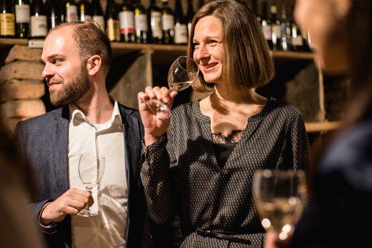 Vienne : dégustation de vins locaux dans une cave à vin romaine historique