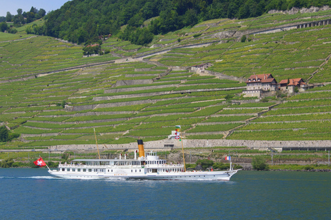 Lausanne: 2-Hour Lake Geneva Cruise Along Lavaux Vineyards 2nd Class Lausanne: 2-Hour Lake Geneva Cruise