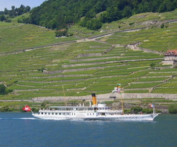 Lausanne: 2-Hour Lake Geneva Cruise Along Lavaux Vineyards