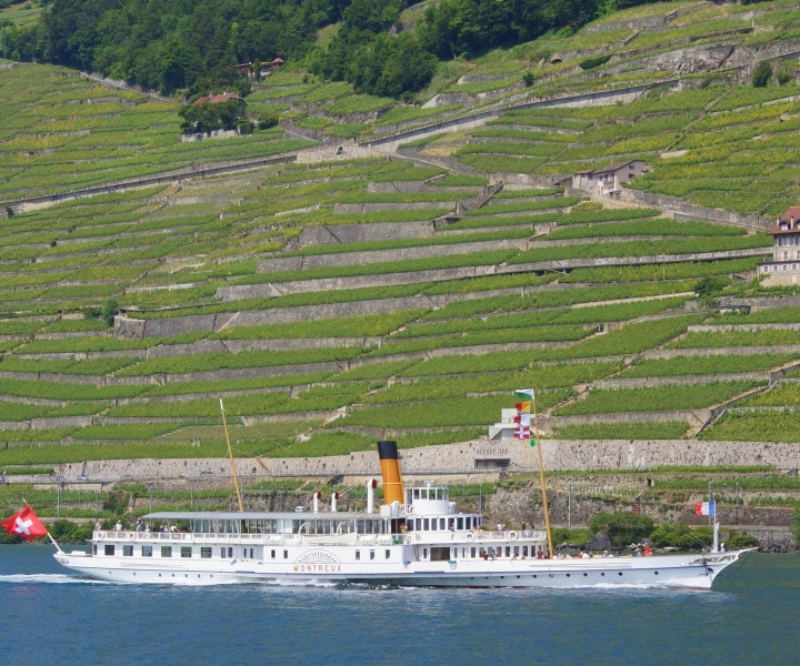 Lausanne: 2-Hour Lake Geneva Cruise Along Lavaux Vineyards
