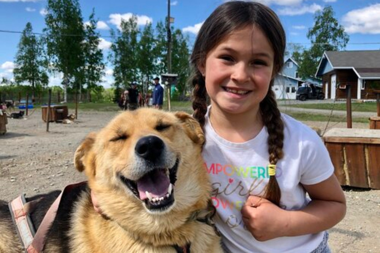 Willow: Summer Dog Sledding Ride in Alaska