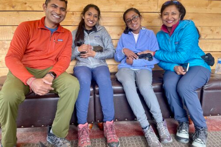 Willow: Summer Dog Sledding Ride in Alaska