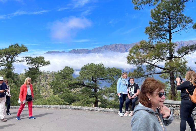 Desde Tenerife: excursión de un día a los paisajes volcánicos de La Palma